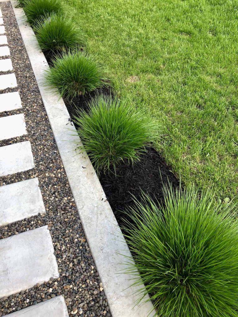 Lawn Edge Borders