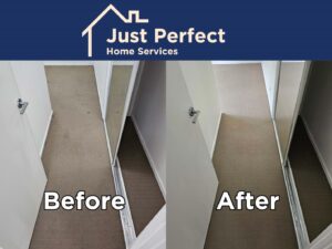 Professional Carpet Cleaning