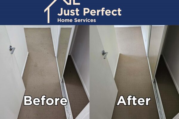 Professional Carpet Cleaning