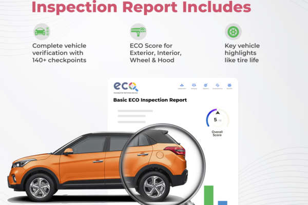 Motor Vehicle Inspection