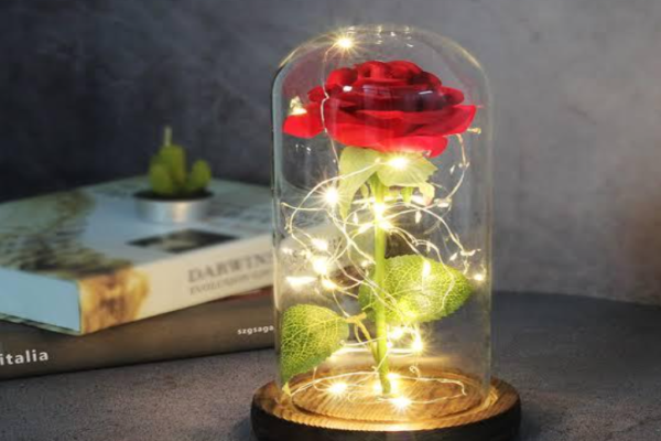 Beast Rose Lamp