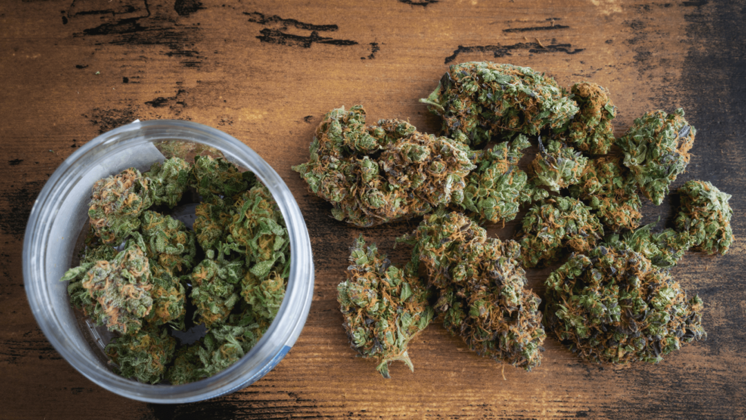 Cannabis Strains