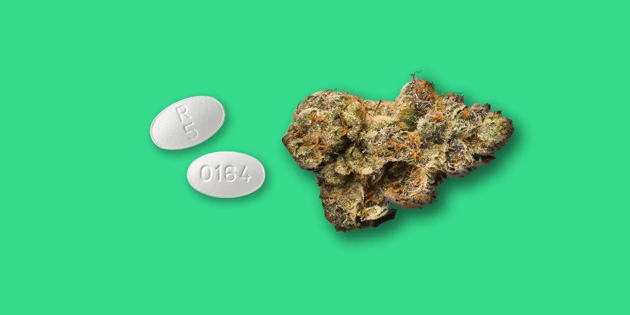 Marijuana Have Negative Interactions With Olanzapine