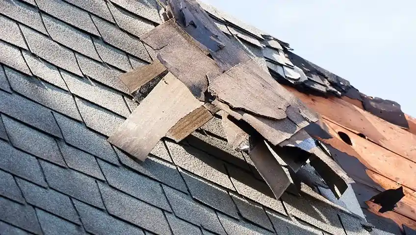 How to Tell If Your Roof Needs Immediate Repairs