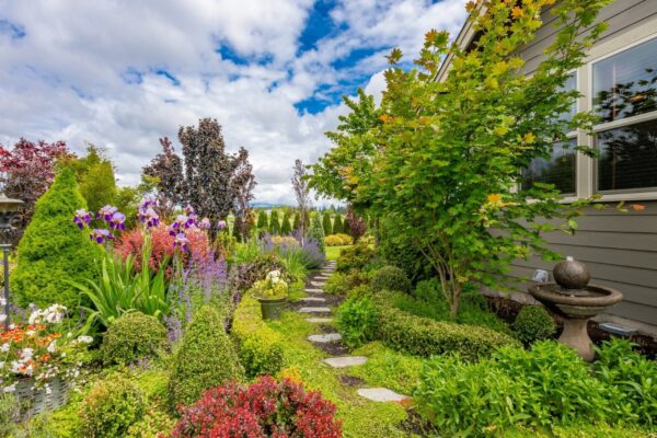 Low-Maintenance Landscape