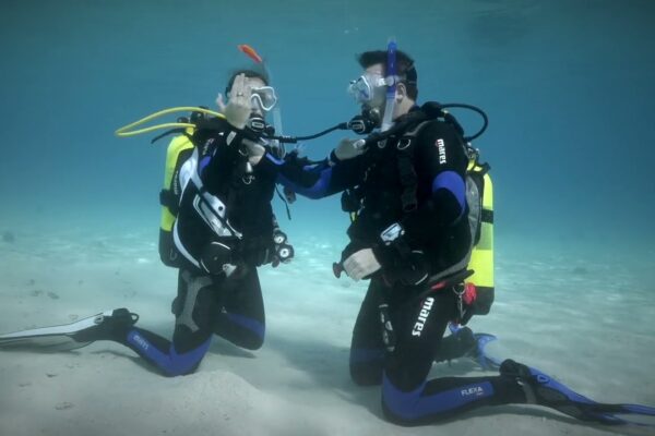 Top 6 Reasons to Get Your Open Water Scuba Certification This Year Open Water Scuba Certification