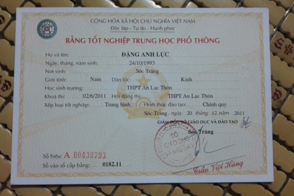 Fake High School Diploma