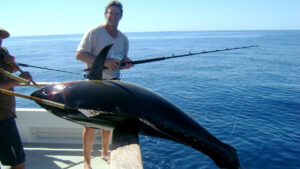 Offshore Fishing in San Diego