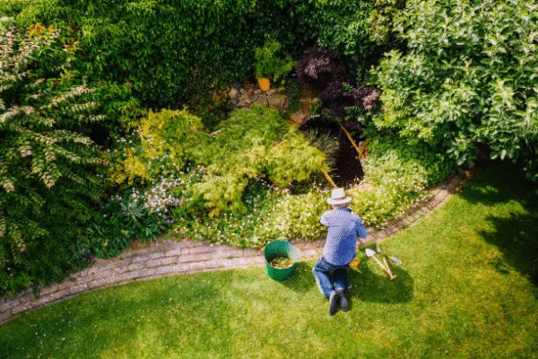 Eco-Friendly Landscaping