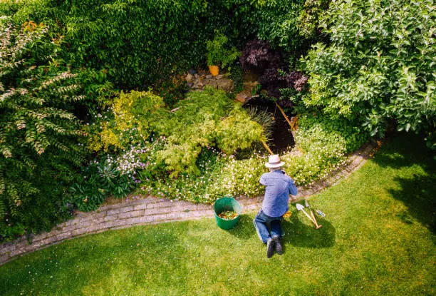 Eco-Friendly Landscaping