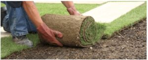 Expert Sodding Installation Services