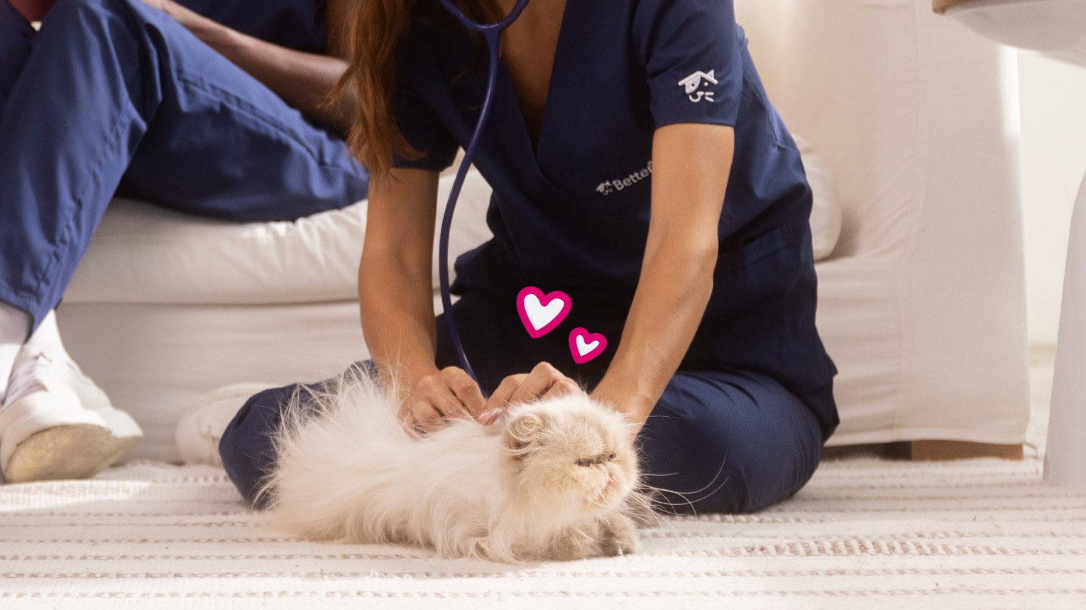 Pet Wellness