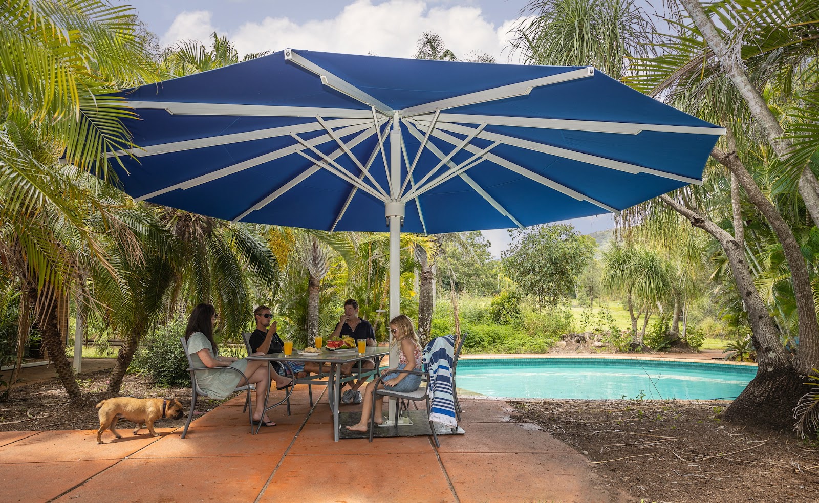 Commercial Canopy Tent