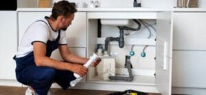 Pest Control Torrance CA