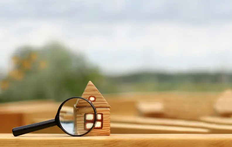 Pre-Purchase Pest Inspection in Maitland