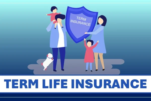 Term Life Insurance Policy