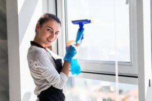 Hiring Professional Window Cleaners