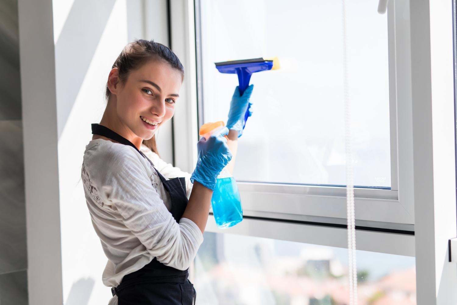 Hiring Professional Window Cleaners