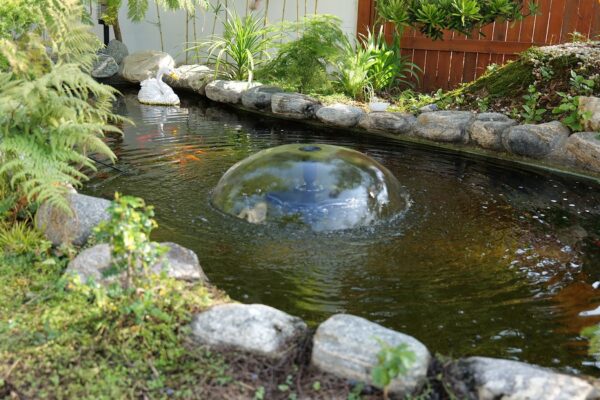 Fountain Pump with a Pond Filter