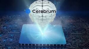 CerebrumIQ