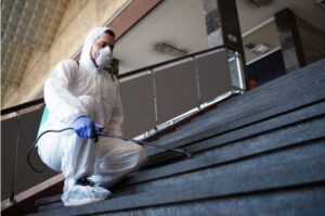 Essential Guide to Building and Pest