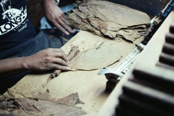 Health-Conscious Smoking