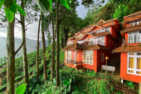 Peaceful Stays in Munnar