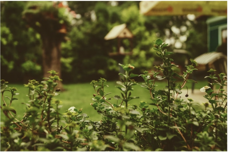 Essential Features for a