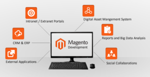 Magento Enterprise Development