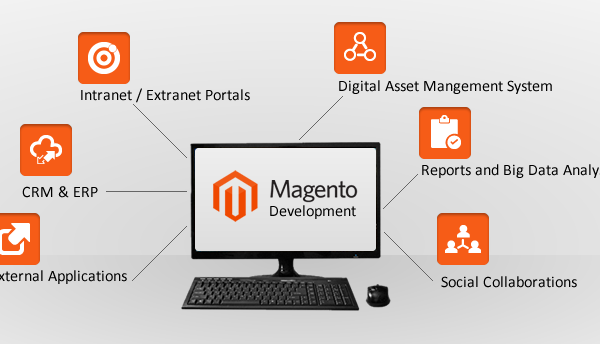 Magento Enterprise Development