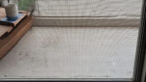 What Causes Window Screens to