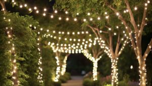 Enhancing Outdoor Spaces With Creative Uses