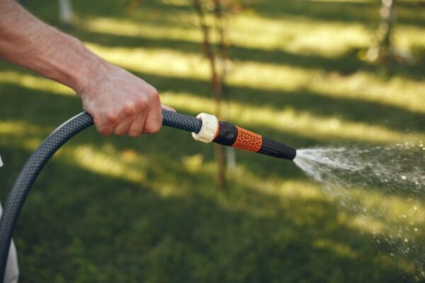 How to Prep Your Yard for a