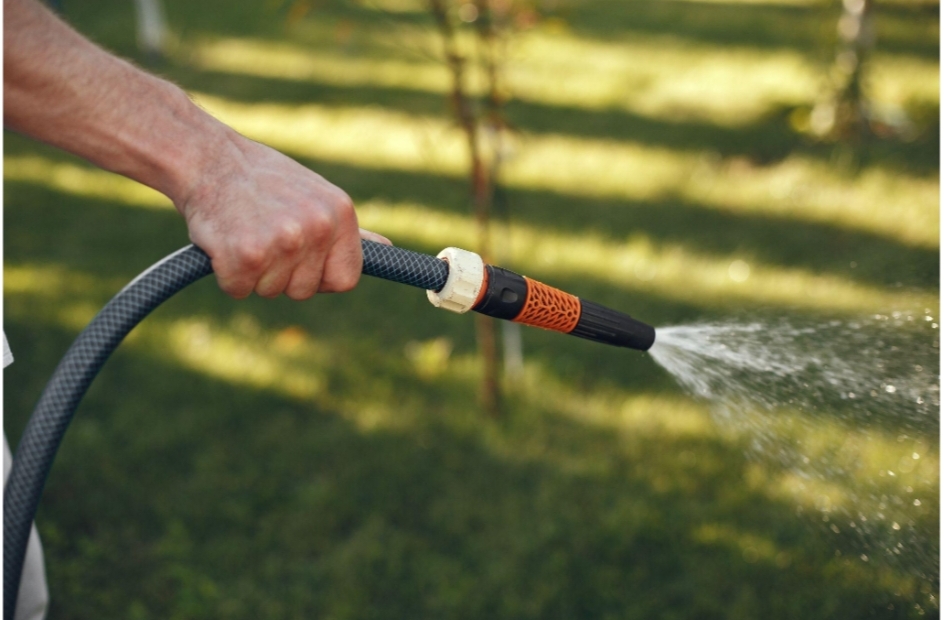 How to Prep Your Yard for a