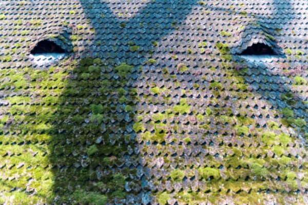 Why Roof Stains Always Look Worse After a Rainy Spring