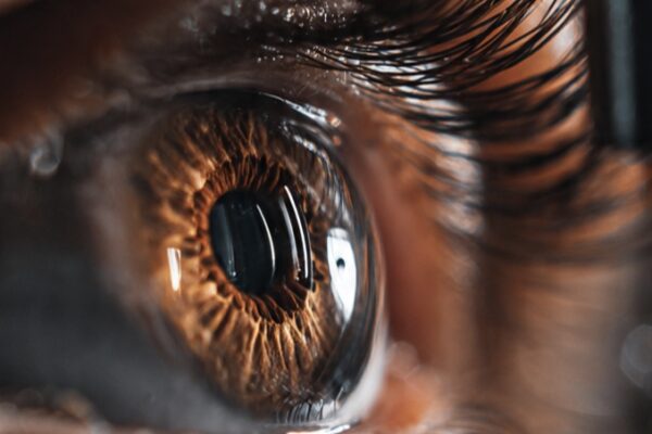 Understanding the Role of a Retina Specialist
