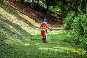 Outdoor Jobs