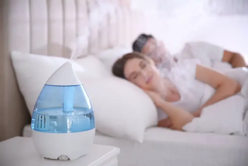 Best Quiet Humidifiers