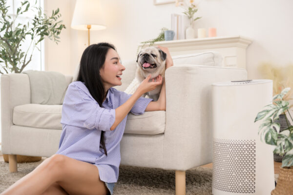 Best Air Purifiers