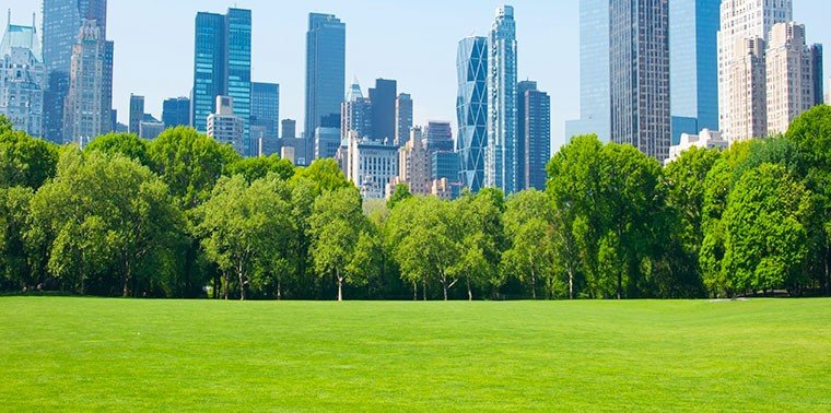 Communities Can Keep Nature in Check